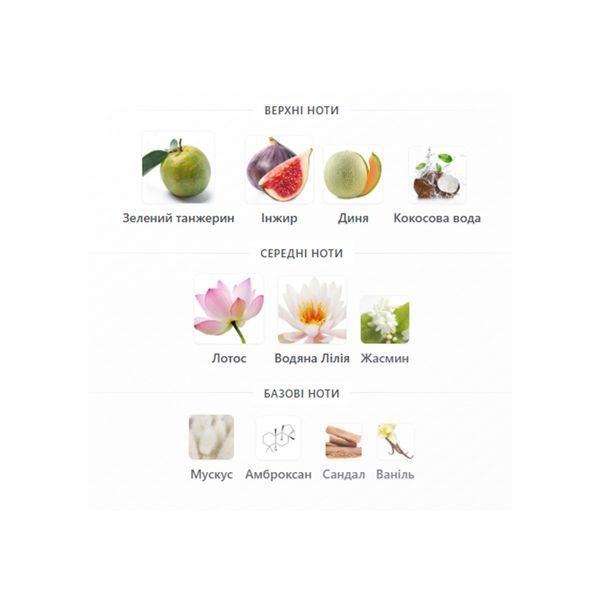 Lattafa Mayar Natural Intense 100 мл парфумована вода для жінок E309 фото