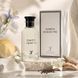 Fragrance World Jacques Yves Tempete 100 мл парфумована вода для чоловіків E075 фото 1