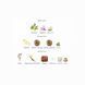 Fragrance World Venti Silky Princess 100 мл парфумована вода для жінок